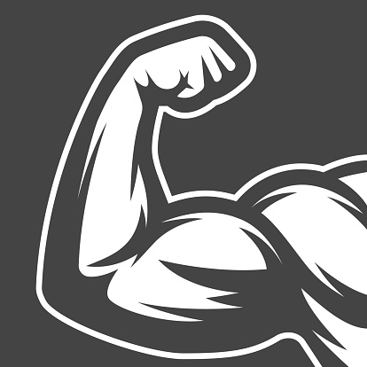 How to do biceps exercises correctly?